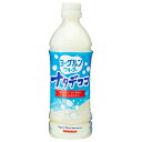 サンガリア ヨーグルンウォーター ナタデココ 500mlペットボトル×24本入×(2ケース)| 送料無料 乳性 ナタデココ PET