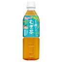 和光堂 1歳からのむぎ茶 500mlペットボトル×24本入×(2ケース)| 送料無料 お茶 ベビー用 赤ちゃん用 ノンカフェイン
