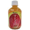 ビバレ・ジャパン なめらか仕立て マンゴー20% 280mlペットボトル×24本入| 送料無料 マンゴー PET 果汁 ジュース フルーツ