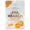 JA全農 ニッポンエール 愛知県産蒲郡みかん グミ 40g×10袋入×(2ケース)| 送料無料 お菓子 グミ 国産 日本産 全農