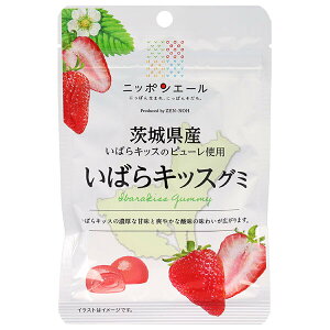 JA全農 ニッポンエール 茨城県産いばらキッス グミ 40g×10袋入×(2ケース)| 送料無料 お菓子 グミ 国産 日本産 全農