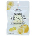 JA全農 ニッポンエール 岩手県産冬恋りんご グミ 40g×10袋入×(2ケース)| 送料無料 お菓子 グミ 国産 日本産 全農