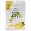 JA全農 ニッポンエール 高知県産ゆず グミ 40g×10袋入×(2ケース)| 送料無料 お菓子 グミ 国産 日本産 全農