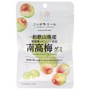 JA全農 ニッポンエール 和歌山県産南高梅 グミ 40g×10袋入×(2ケース)| 送料無料 お菓子 グミ 国産 日本産 全農