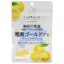 JA全農 ニッポンエール 神奈川県産湘南ゴールド グミ 40g×10袋入×(2ケース)| 送料無料 お菓子 グミ 国産 日本産 全農