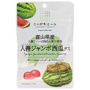 JA全農 ニッポンエール富山県入善ジャンボ西瓜 グミ 40g×10袋入×(2ケース)| 送料無料 お菓子 グミ 国産 日本産 全農