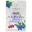 JA全農 ニッポンエール 北海道ハスカップ グミ 40g×10袋入×(2ケース)| 送料無料 お菓子 グミ 国産 日本産 全農