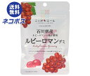 【全国送料無料】【ネコポス】JA全農 ニッポンエール 石川県産ルビーロマン グミ 40g×10袋入| お菓子 グミ 国産 日本産 全農