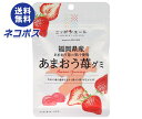 【全国送料無料】【ネコポス】JA全農 ニッポンエール 福岡県産あまおう グミ 40g×10袋入| お菓子 グミ 国産 日本産 全農
