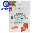 【全国送料無料】【ネコポス】JA全農 ニッポンエール 宮城県産仙台いちご グミ 40g×10袋入| お菓子 グミ 国産 日本産 全農