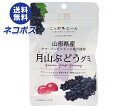 【全国送料無料】【ネコポス】JA全農 ニッポンエール 山形県産月山ぶどう グミ 40g×10袋入| お菓子 グミ 国産 日本産 全農