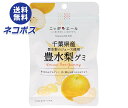 【全国送料無料】【ネコポス】JA全農 ニッポンエール 千葉県産豊水梨 グミ 40g×10袋入| お菓子 グミ 国産 日本産 全農