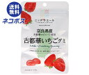 【全国送料無料】【ネコポス】JA全農 ニッポンエール 奈良県古都華いちご グミ 40g×10袋入| お菓子 グミ 国産 日本産 全農