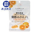 【全国送料無料】【ネコポス】JA全農 ニッポンエール 愛知県産蒲郡みかん グミ 40g×10袋入| お菓子 グミ 国産 日本産 全農