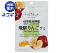 ネコポス JA全農 ニッポンエール 岐阜県産飛騨りんご グミ 40g×10袋入| 全国送料無料 お菓子 グミ 国産 日本産 全農