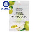 ネコポス JA全農 ニッポンエール 山形県産ラフランス グミ 40g×10袋入| 全国送料無料 お菓子 グミ 国産 日本産 全農