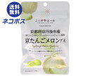 【全国送料無料】【ネコポス】JA全農 ニッポンエール 京都府産京たんごメロン グミ 40g×10袋入| お菓子 グミ 国産 日本産 全農