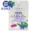 ネコポス JA全農 ニッポンエール 北海道ハスカップ グミ 40g×10袋入| 全国送料無料 お菓子 グミ 国産 日本産 全農