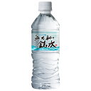 永伸商事 奥大和の銘水 500mlペットボトル×24本入×(2ケース)| 送料無料 天然水 ミネラルウォーター 水 銘水 国内名水