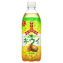 アサヒ飲料 三ツ矢 2種のキウイ 500mlペットボトル×24本入×(2ケース)| 送料無料 炭酸飲料 ビタミンC フルーツ