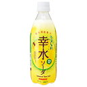 サンガリア うましゅわ 幸水ソーダ 500mlペットボトル×24本入| 送料無料 炭酸 ソーダ なし 梨 フルーツ
