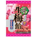 【送料無料・メーカー/問屋直送品・代引不可】リボン 生梅飴 90g×12袋入| お菓子 あめ キャンディー 飴 袋