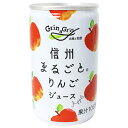 長野興農 信州まるごとりんごジュース 160g缶×30本入×(2ケース)| 送料無料 果実飲料 果汁100% アップル リンゴ