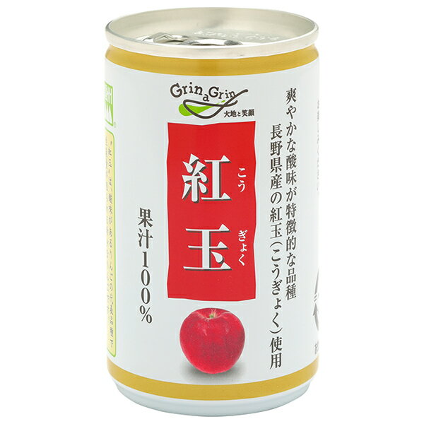 長野興農 信州 紅玉 りんごジュース 160g缶×30本入×(2ケース)｜ 送料無料 果実飲料 フルーツ アップル りんご リンゴ