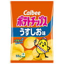カルビー ポテトチップス うすしお味 55g×16袋入 メーカー 問屋直送| 送料無料 お菓子 スナック菓子 Calbee 塩 ポテチ
