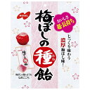 ノーベル製菓 梅ぼしの種飴 30g×6袋入×(2ケース)| 送料無料 お菓子 あめ キャンディー 袋 うめ