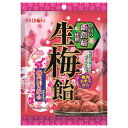 リボン 生梅飴 90g×12袋入| 送料無料 お菓子 あめ キャンディー 飴 袋