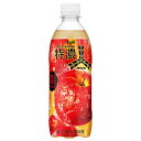アサヒ飲料 三ツ矢 特濃アップルスカッシュ 500mlペットボトル×24本入| 送料無料 炭酸 果実 果物 フルーツ アップル