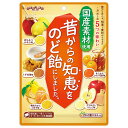 扇雀飴本舗 昔からの知恵をのど飴にしました。 92g×10袋入 メーカー 問屋直送| 送料無料 菓子 飴 ハチミツ 生姜 フルーツ のど飴 アソート