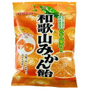 川口製菓 和歌山みかん飴 100g×10袋入 メーカー 問屋直送| 送料無料 お菓子 おやつ 飴 あめ キャンディ みかん ミカン 蜜柑