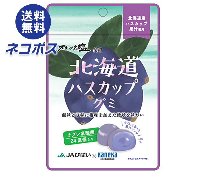 ネコポス カネカ食品 北海道ハスカップグミ ラブレ乳酸菌入 40g×10袋入｜ 全国送料無料 お菓子 グミ 果汁 ジュレ ラブレ乳酸菌 ラブレ 乳酸菌 チャック付き 腸内環境 ハスカップ