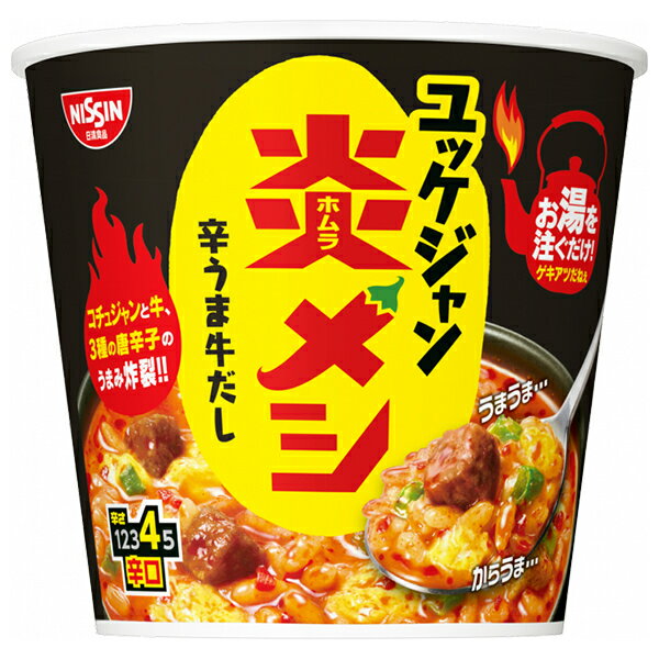 日清食品 日清炎メシ 辛うまユッケジャン 106g×6個入×(2ケース)｜ 送料無料 一般食品 インスタント食品