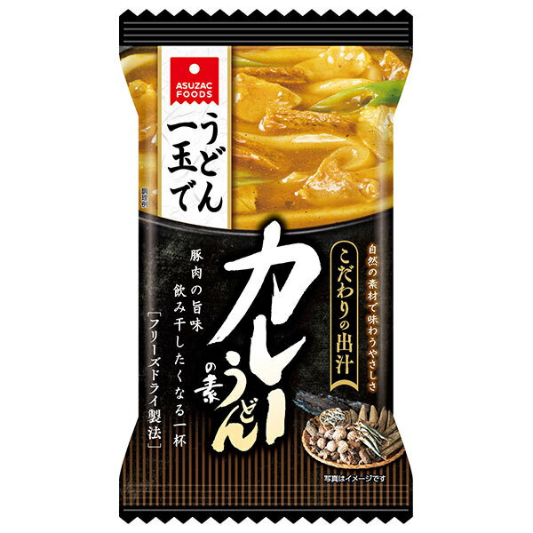 アスザックフーズ カレーうどんの素 22g×10袋入×(2ケース)｜ 送料無料 インスタント フリーズドライ 1..