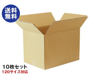 ダンボール箱(段ボール箱)10枚セット（外寸423mm×293mm×305mm　C5）｜ 送料無料 ダンボール　段ボール 120サイズ対応