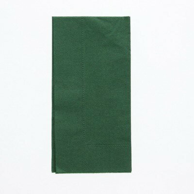 カラー2plyナプキン　イタリアングリーン　約45cm（50枚）　紙ナフキン　ペーパーナプキン　大判　緑