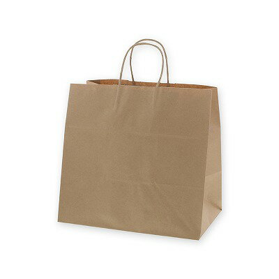 手提げ紙袋　25CB　34-1　未晒無地（50枚）　幅340×220×高320mm　25チャームバッグ