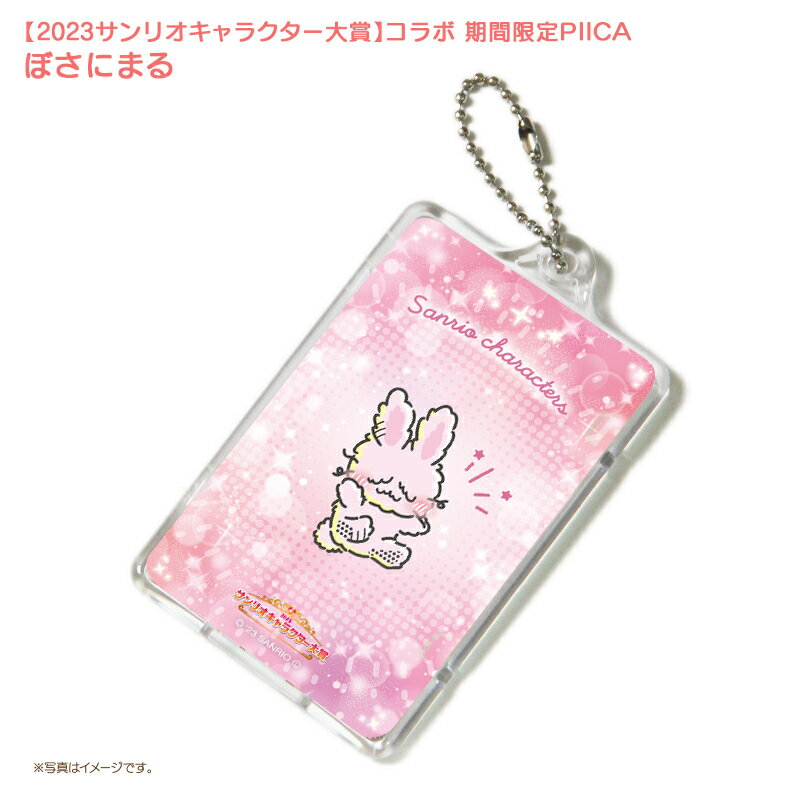 【予約限定版・キャンセル分在庫限り】ぼさにまる ピーカ+ICカードホルダー サンリオキャラクター大賞2023コラボ限定版⇒ LED内蔵 光るパスケース クリアパスケース 定期入れ 非接触型 ICカード 交通系ICカード 社員証 IDカード 電子マネーカード PIICA サンリオのサムネイル