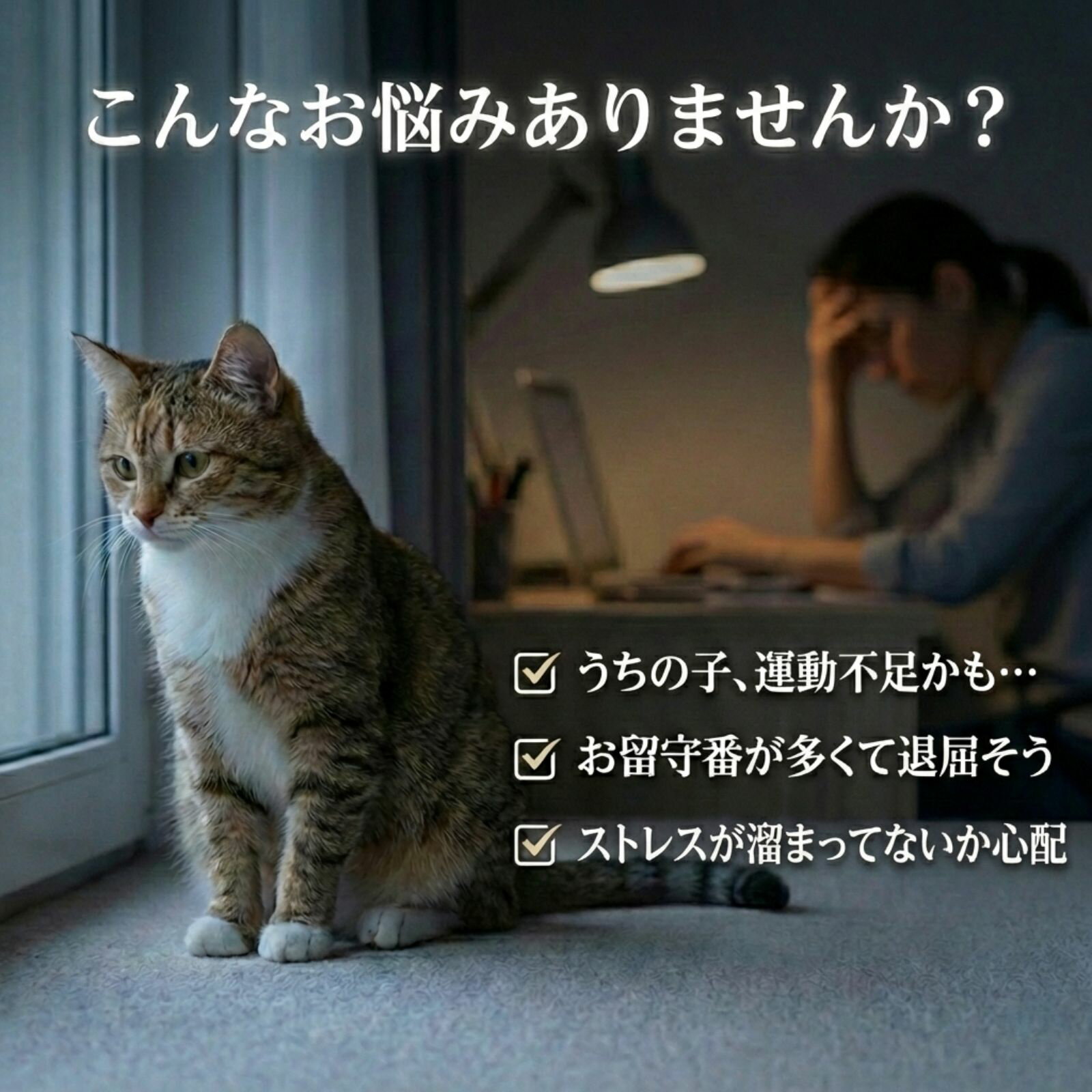 猫 おもちゃ 電動 ボール 一人遊び 【全自動×障害物回避】 スマートボール 自動 猫じゃらし 充電式 LED ライト ストレス解消 運動不足解消 対策 猫用品 玩具 お留守番 静音 ペット用品 丈夫 噛んでも安心 ブルー ピンク [送料無料] 3