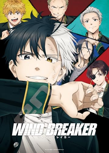 ジグソーパズル TVアニメ『WIND BREAKER』 俺が頂上だ 500ピース (500-593)