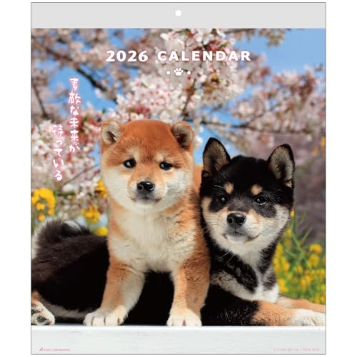 アクティブコーポレーション 2026 カレンダー 壁掛け DOGウォールカレンダー 26ACL-01 2026年 1月始まり