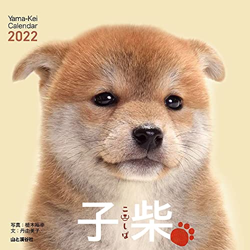 カレンダー2022 子柴 こしば (月めくり・卓上/壁掛け・リング) (ヤマケイカレンダー2022)