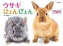 カレンダー2024 ウサギぴょんぴょん(月めくり/壁掛け) (ヤマケイカレンダー2024)