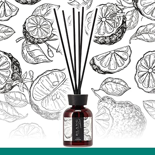 カーメイト(CARMATE) BLANG ブラング 部屋用 リードディフューザー 芳香剤 天然香料 消臭剤配合 ホワイトベルガモットの香り DH