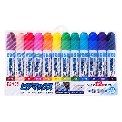 Water Felt Pens - SAKURA サクラクレパス 水性ペン ピグマックスツイン 12色 ZPK-T12