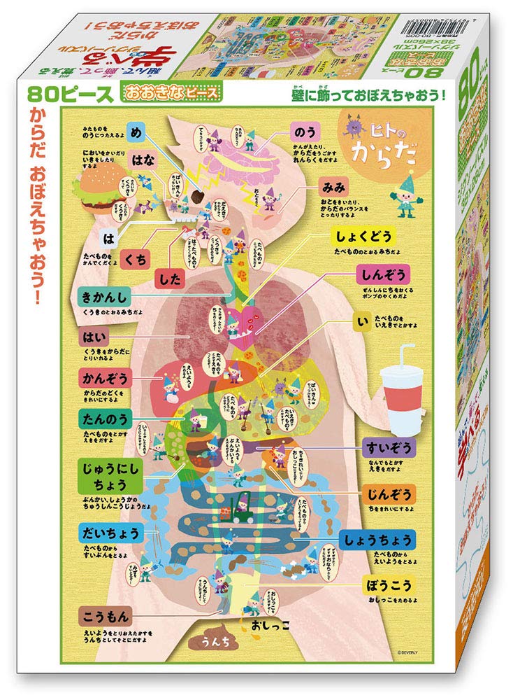 日本製 ビバリー 80ピース ジグソーパズル 学べるジグソーパズル からだおぼえちゃおう (26×38cm)80-005のサムネイル