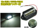 12v/汎用小型LEDナンバー灯/マルチライセンスランプ/6000k/純白色 プラチナホワイト